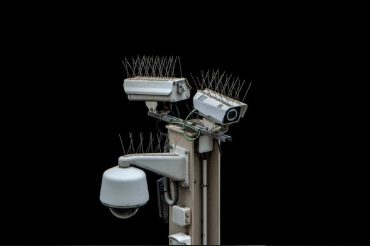 Instalación de Sistemas Antiaves